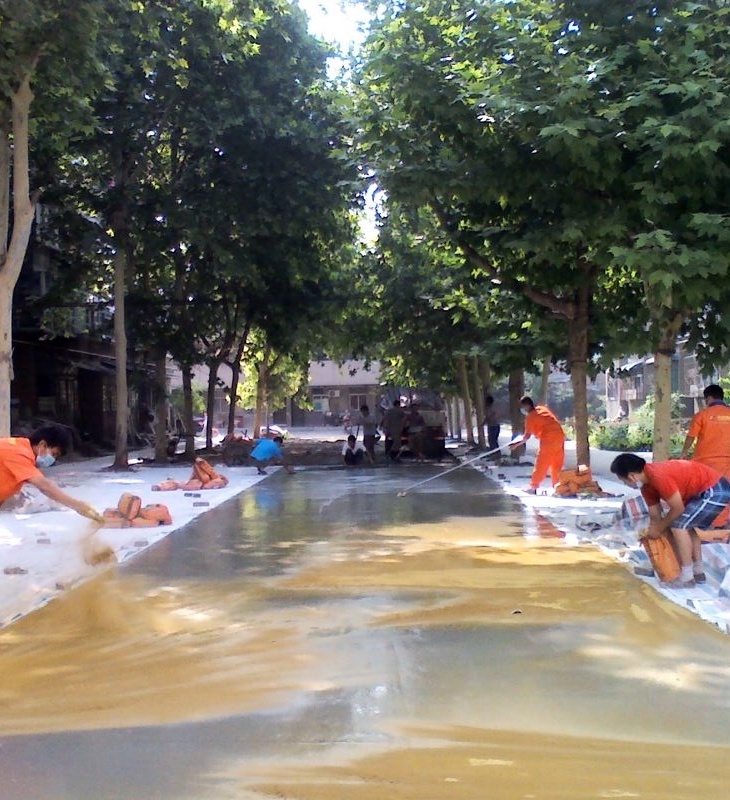 咸阳中储家园小区艺术压花地坪